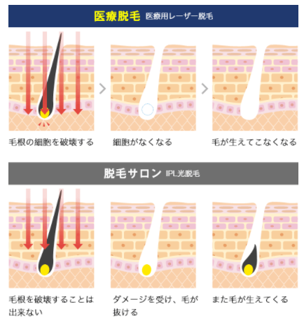 SnapCrab_NoName_2021-7-21_1-22-50_No-00