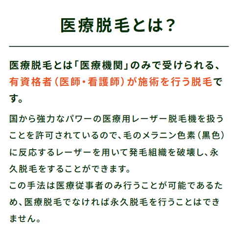 SnapCrab_NoName_2024-12-21_2-31-45_No-00