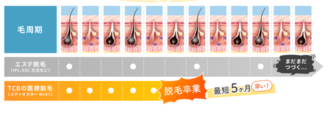 SnapCrab_NoName_2021-7-21_21-56-27_No-00