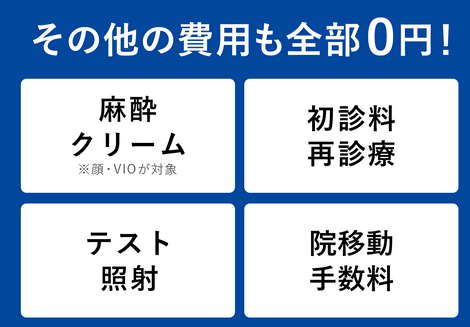 SnapCrab_NoName_2024-9-15_15-33-46_No-00