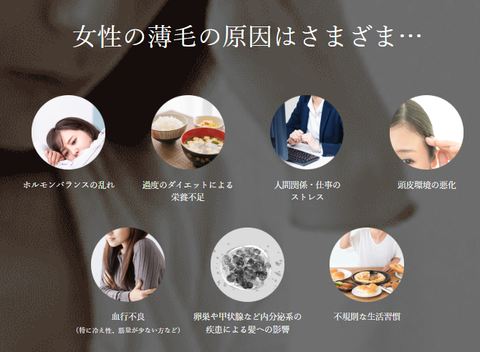 SnapCrab_NoName_2025-5-8_1-34-8_No-00