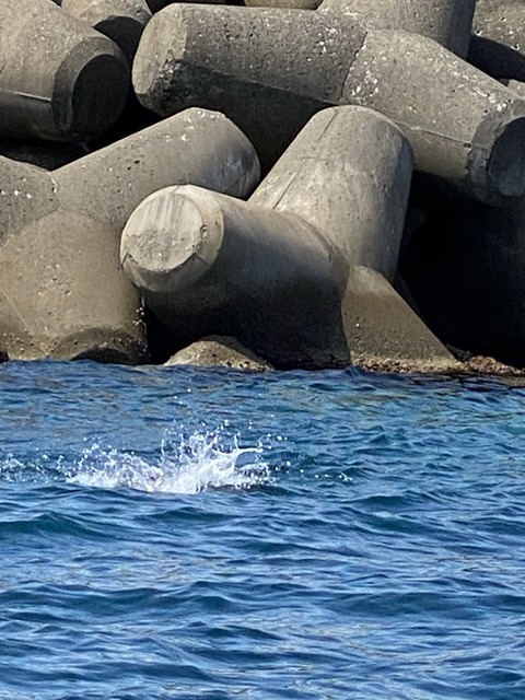 写真 2021-07-12 13 53 21