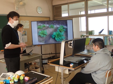 写真④
