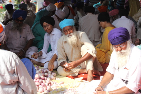 india19 (63)