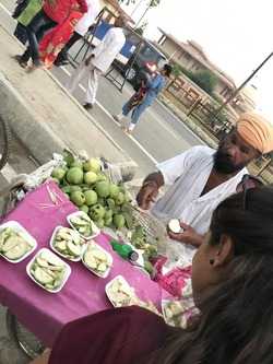 india19 (109)