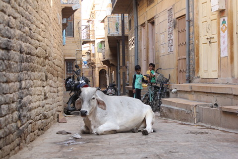 india (44)