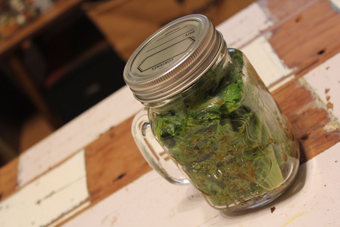 わさび菜のサラダ Music Active Bird Community 東京オカザキッチン わさび菜のサラダ Music Active Bird Community 東京オカザキッチン