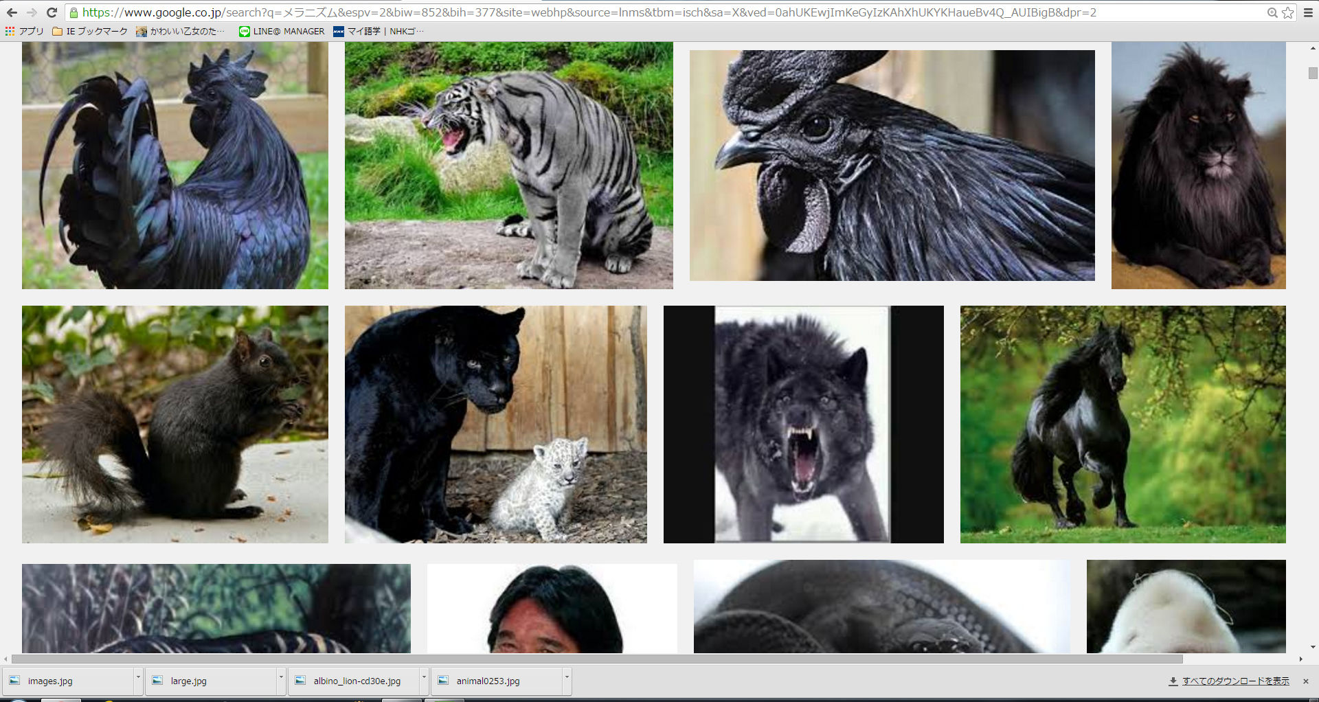 人参天 Music Lars Bartkuhn 東京オカザキッチン 人参天 Music Lars Bartkuhn 東京オカザキッチン