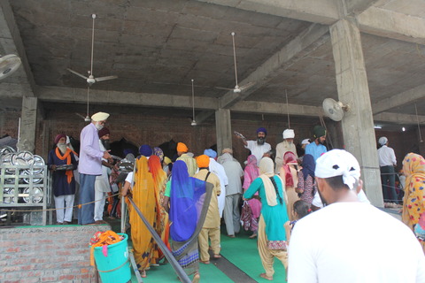 india19 (49)