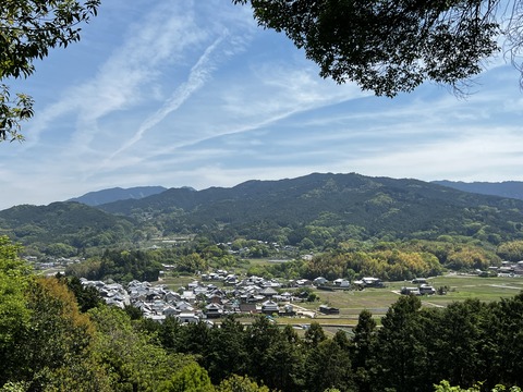 IMG_3695