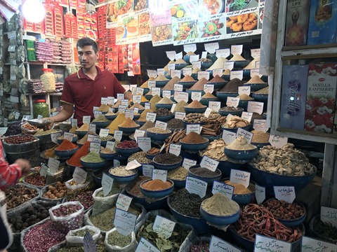 iran (210)