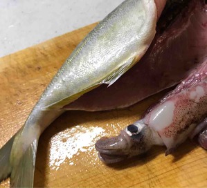 FullSizeRender
