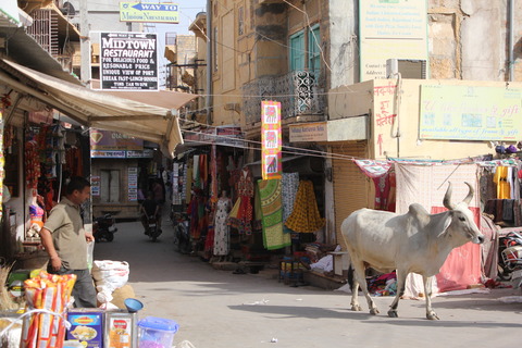 india (40)
