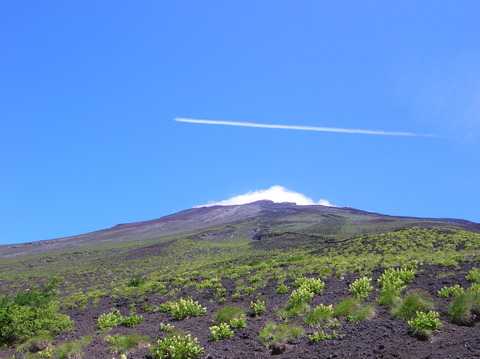 DSCN1148