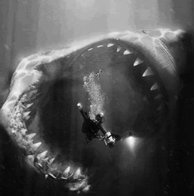 280x283x009a11674f03bcabaf0eb052