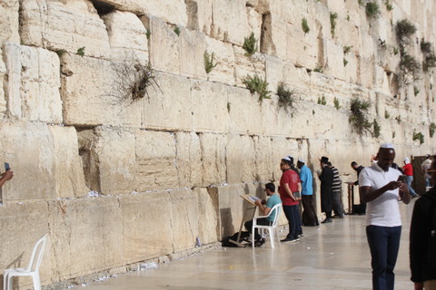 jordanisrael (175)