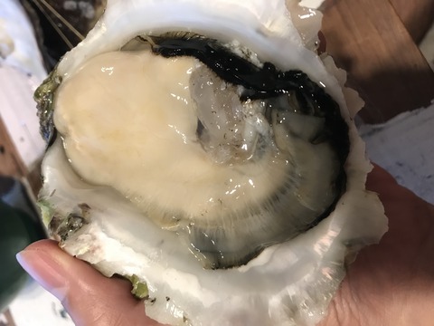 912A4C38-0E9B-47C5-BB96-D4EF688BB2BC