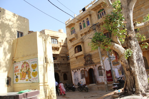 india (133)