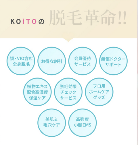 SnapCrab_NoName_2024-7-11_2-49-42_No-00