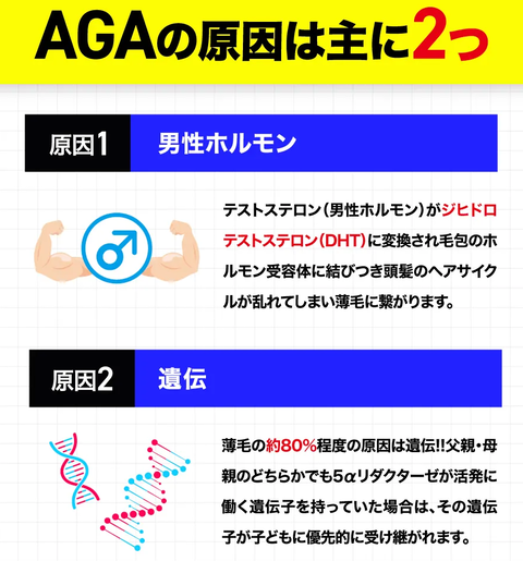 SnapCrab_NoName_2026-2-12_2-47-46_No-00