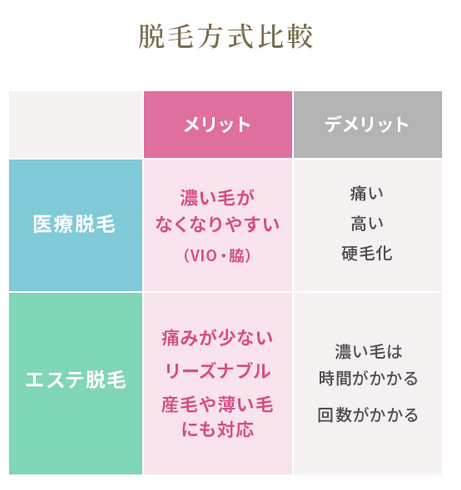 SnapCrab_NoName_2024-7-11_2-48-57_No-00