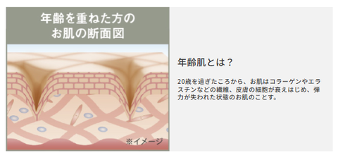 SnapCrab_NoName_2025-4-4_15-29-13_No-00