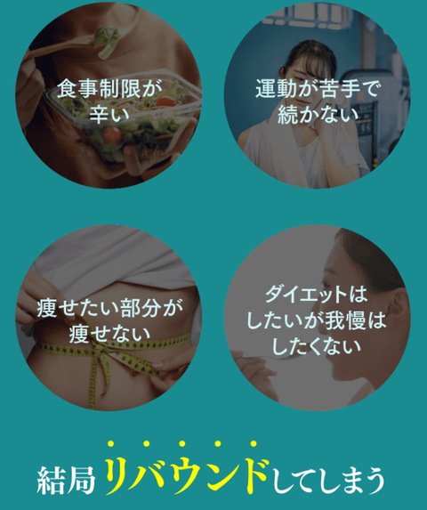 SnapCrab_NoName_2024-1-14_22-55-39_No-00