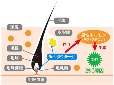 SnapCrab_NoName_2025-11-14_20-33-43_No-00