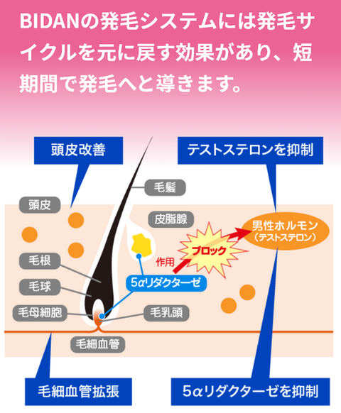 SnapCrab_NoName_2025-11-14_20-32-48_No-00