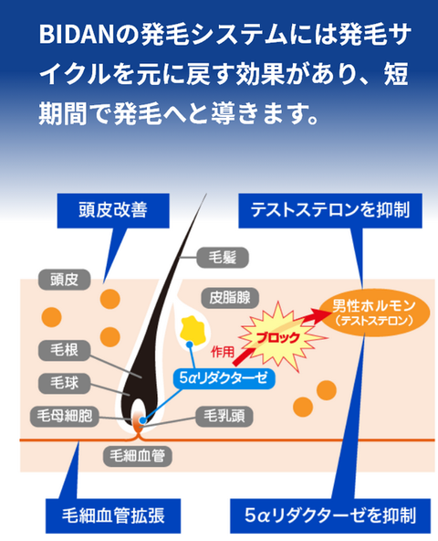 SnapCrab_NoName_2026-4-24_13-17-40_No-00