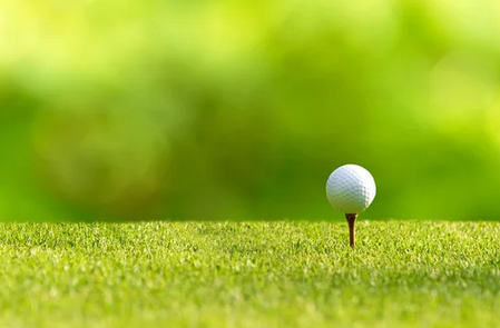 SnapCrab_NoName_2025-3-2_0-0-49_No-00 - コピー