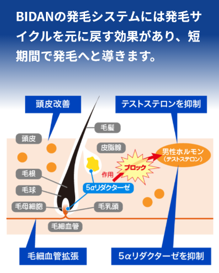 SnapCrab_NoName_2026-8-7_1-2-10_No-00