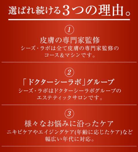 SnapCrab_NoName_2025-2-11_15-38-11_No-00