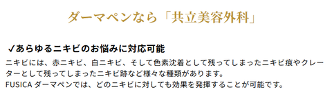 SnapCrab_NoName_2025-3-1_15-6-56_No-00