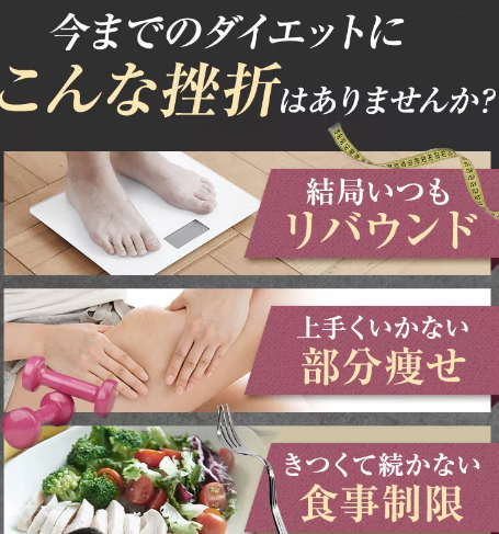 SnapCrab_NoName_2024-2-15_2-46-29_No-00