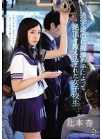 通学途中に痴漢の手によって絶頂を教え込まれた女子校生 辻本杏