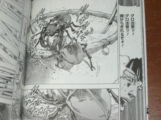 果実の詳細を知る為に定助はクワガタ対決を持ちかけるのだが グロ注意ッ 漫画 ジョジョリオン ９巻 を読む 何かよくわからん気まぐれblog