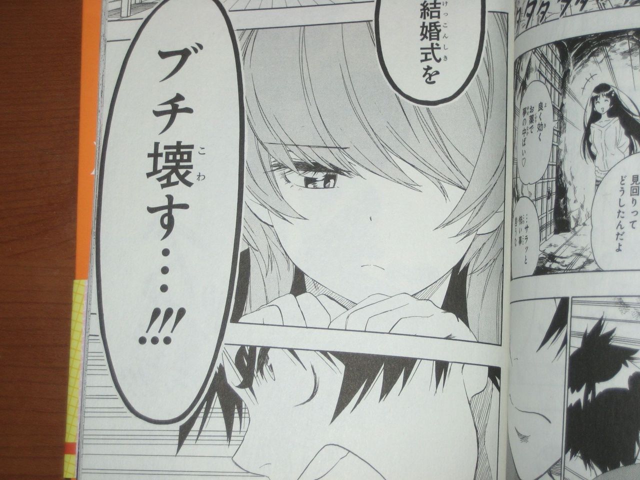 万里花との突然の別れに納得のいかない楽たちは 漫画 ニセコイ 21巻 を読む 何かよくわからん気まぐれblog 万里花との突然の別れに納得のいかない楽たちは 漫画 ニセコイ 21巻 を読む 何かよくわからん気まぐれblog