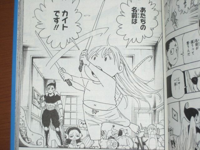 蟻との戦いが終焉 そして 死んだ会長の代わりに誰が会長になるのか 漫画 Hunter Hunter 30巻 を読む 何かよくわからん気まぐれblog 蟻との戦いが終焉 そして 死んだ会長の代わりに誰が会長になるのか 漫画 Hunter Hunter 30巻 を読む 何かよくわからん気まぐれblog