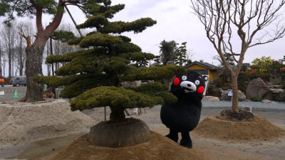 uekikumamon