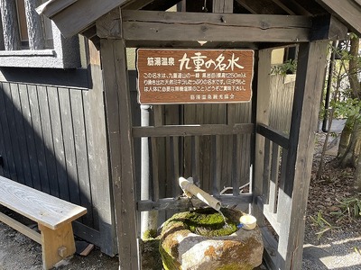 IMG_0157 (1)