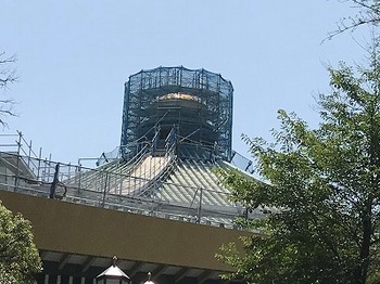 IMG_1651