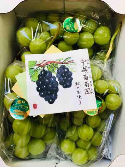 葡萄 我が家 秋の恒例！ぶどうのお取り寄せ！ : せからしか我が家