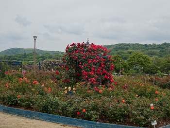 DSC00309