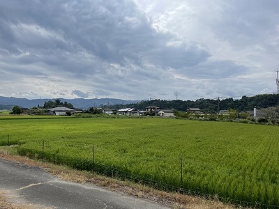 IMG_1813