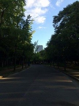 IMG_0787