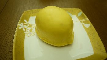 P1060026