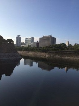 IMG_0803