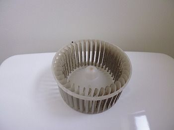 P1000205