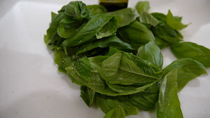 basil2